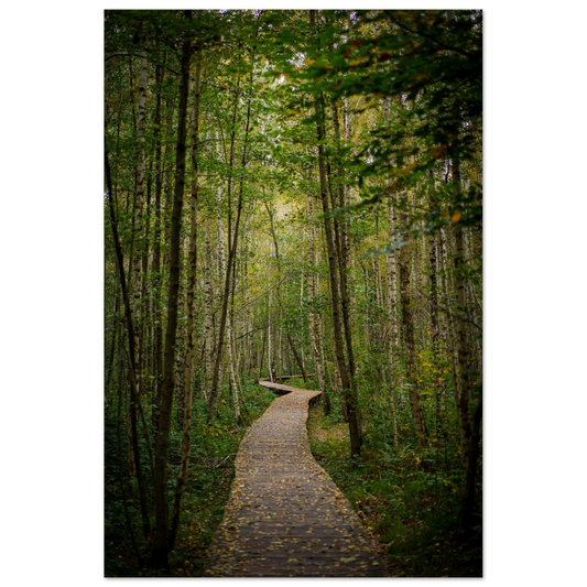 b4713eba-efdd-4a3f-8df7-452128626ac6