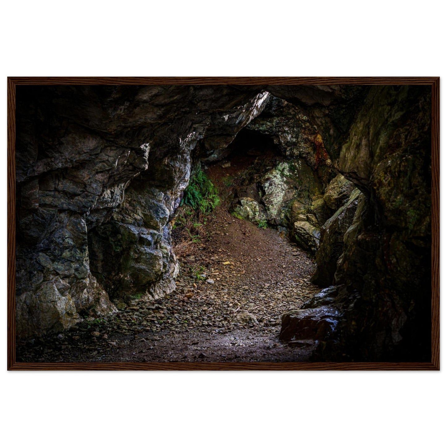 001f23fe-cacd-40fd-a68d-4088c664b89e