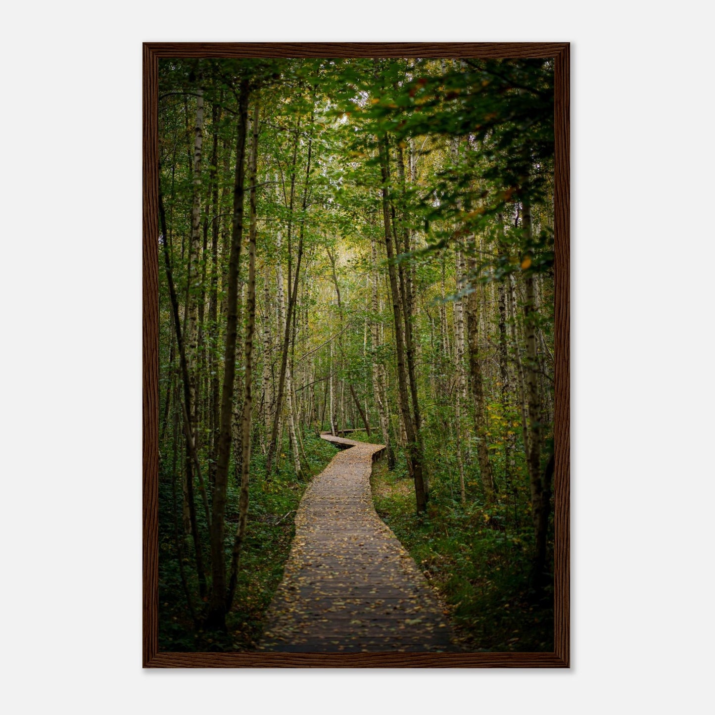 010bd5cb-04b1-4769-ad67-916777cb0e7b