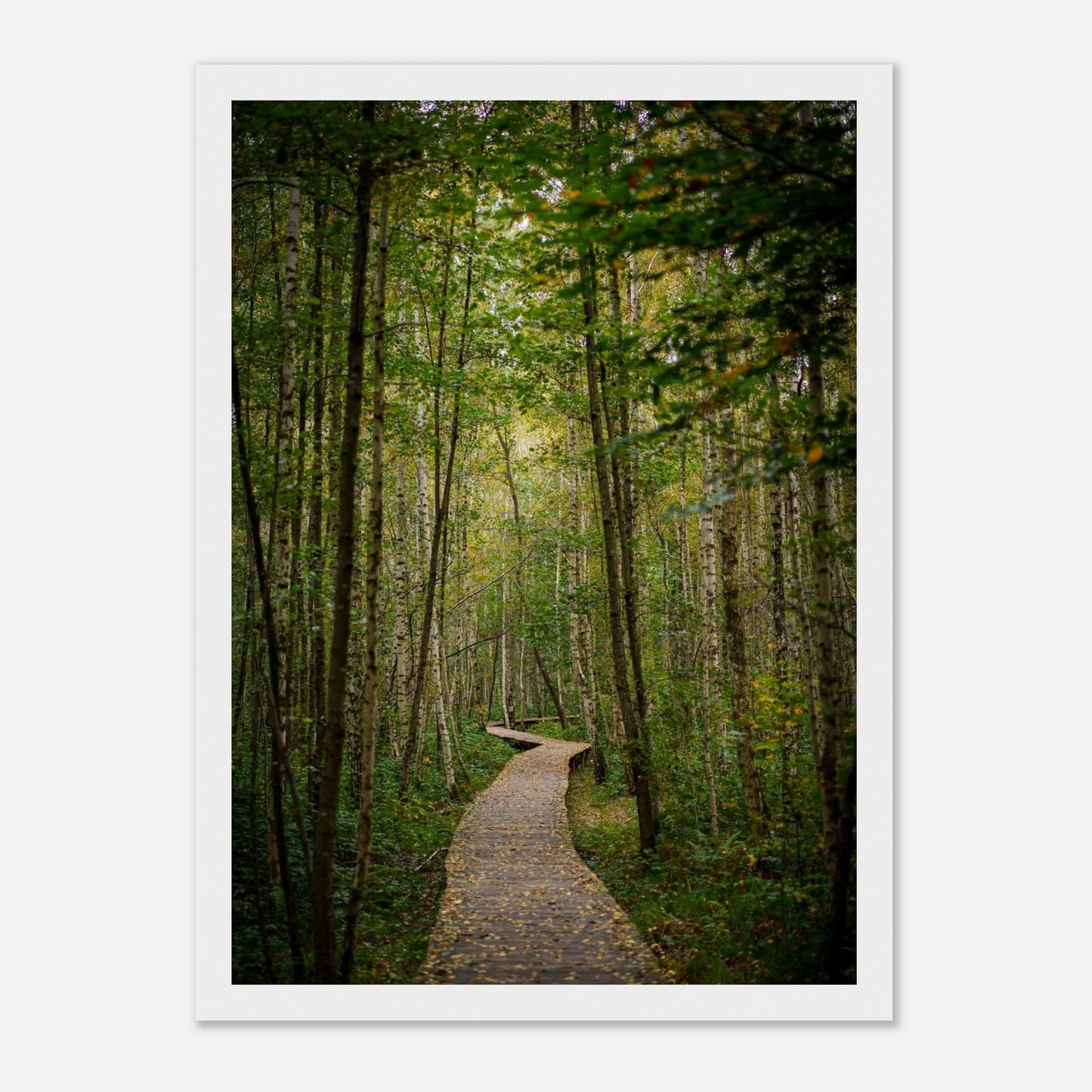 0b5183d2-4fd1-4537-ba78-3f8402740e47