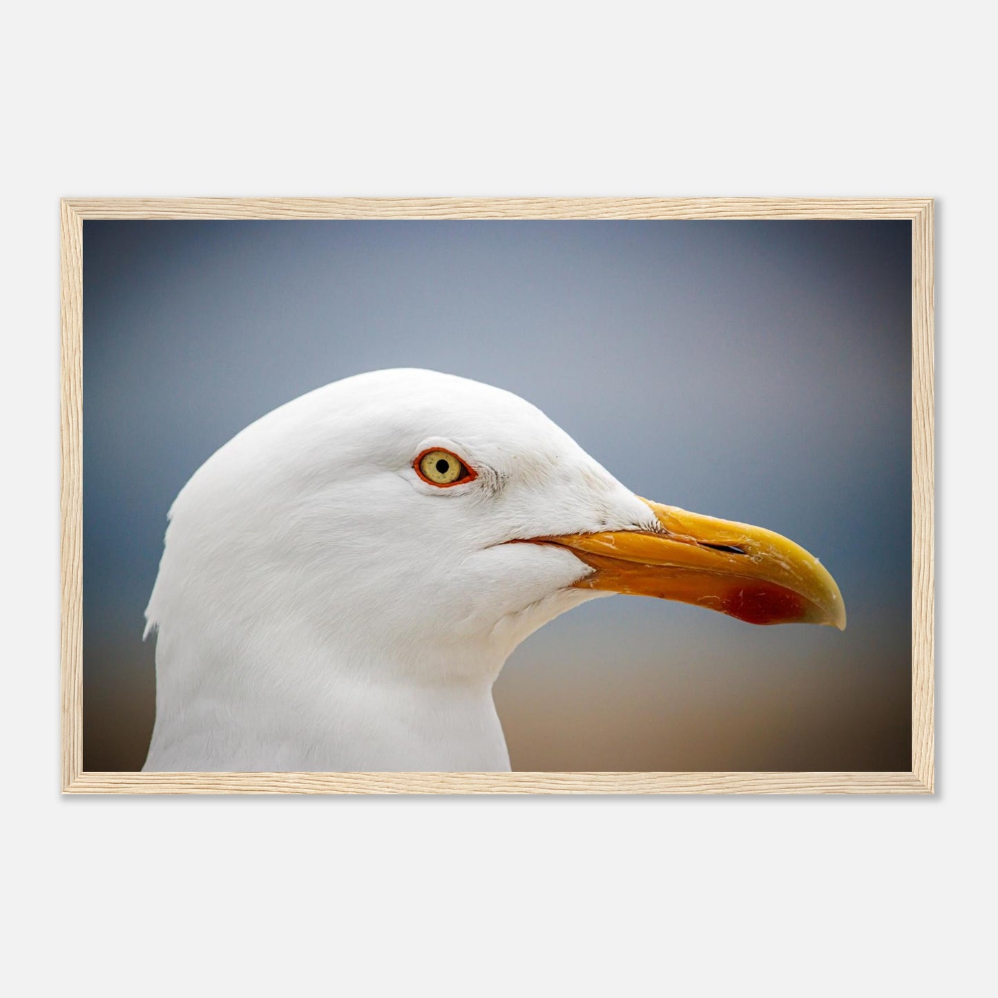 0d7d7883-7bc1-4d04-8f3a-404009ff8fa8