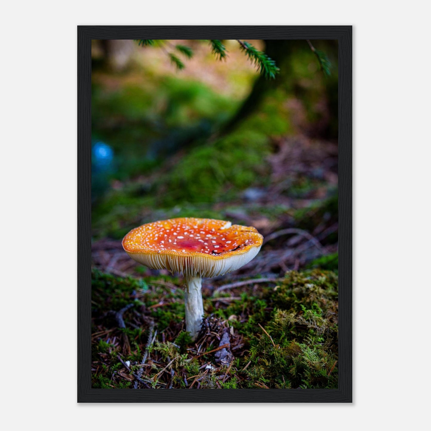 0e5d6d6d-f2e4-4141-8223-a75eac979ec2