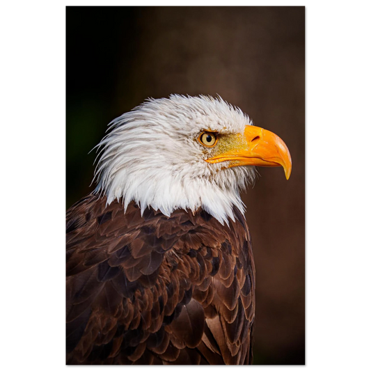 0ef29e6a-70df-406b-a23c-ca24b2f20864