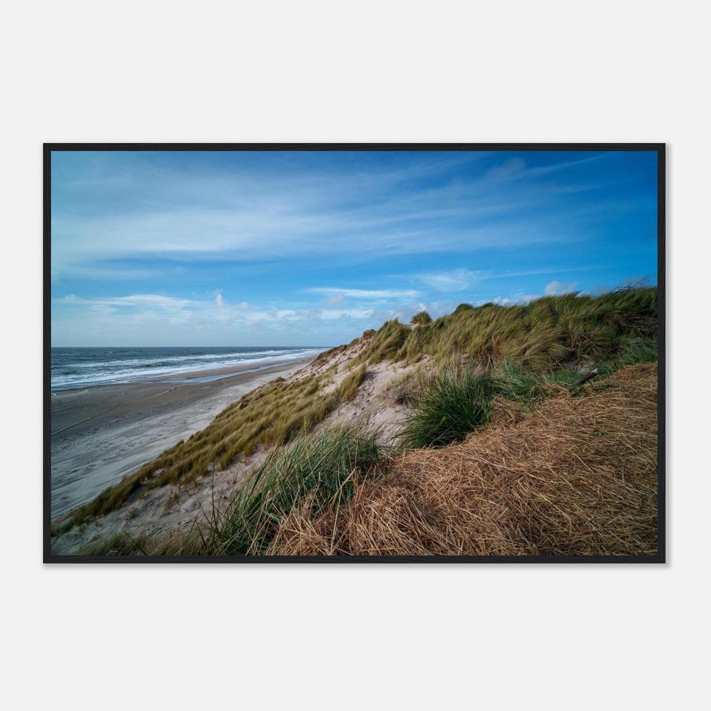 13134e16-3fe9-466f-8e46-932f62a6a6fa