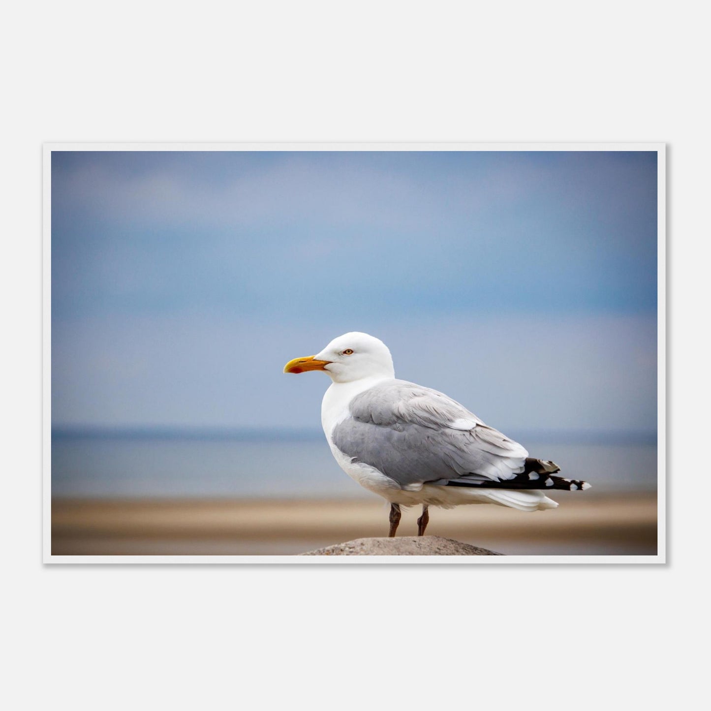 1881914a-9bf7-4da7-84cb-d3df1e080eb1