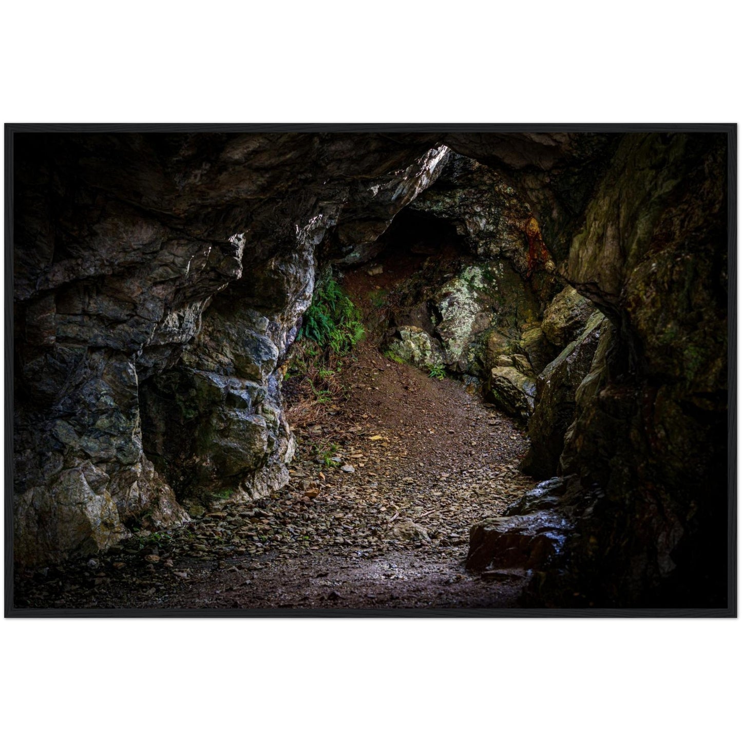 1b55d043-3224-4ec1-a44f-0ecbd4708b6f