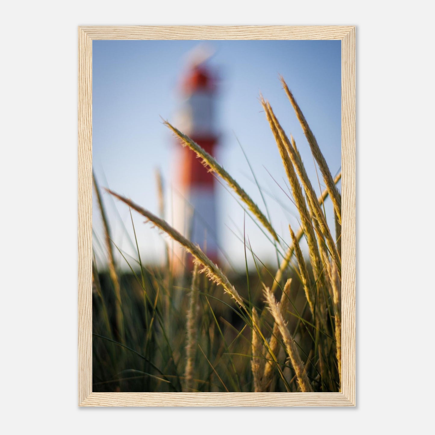 1e289714-10df-42b1-9465-7fdb9ce7bf4b