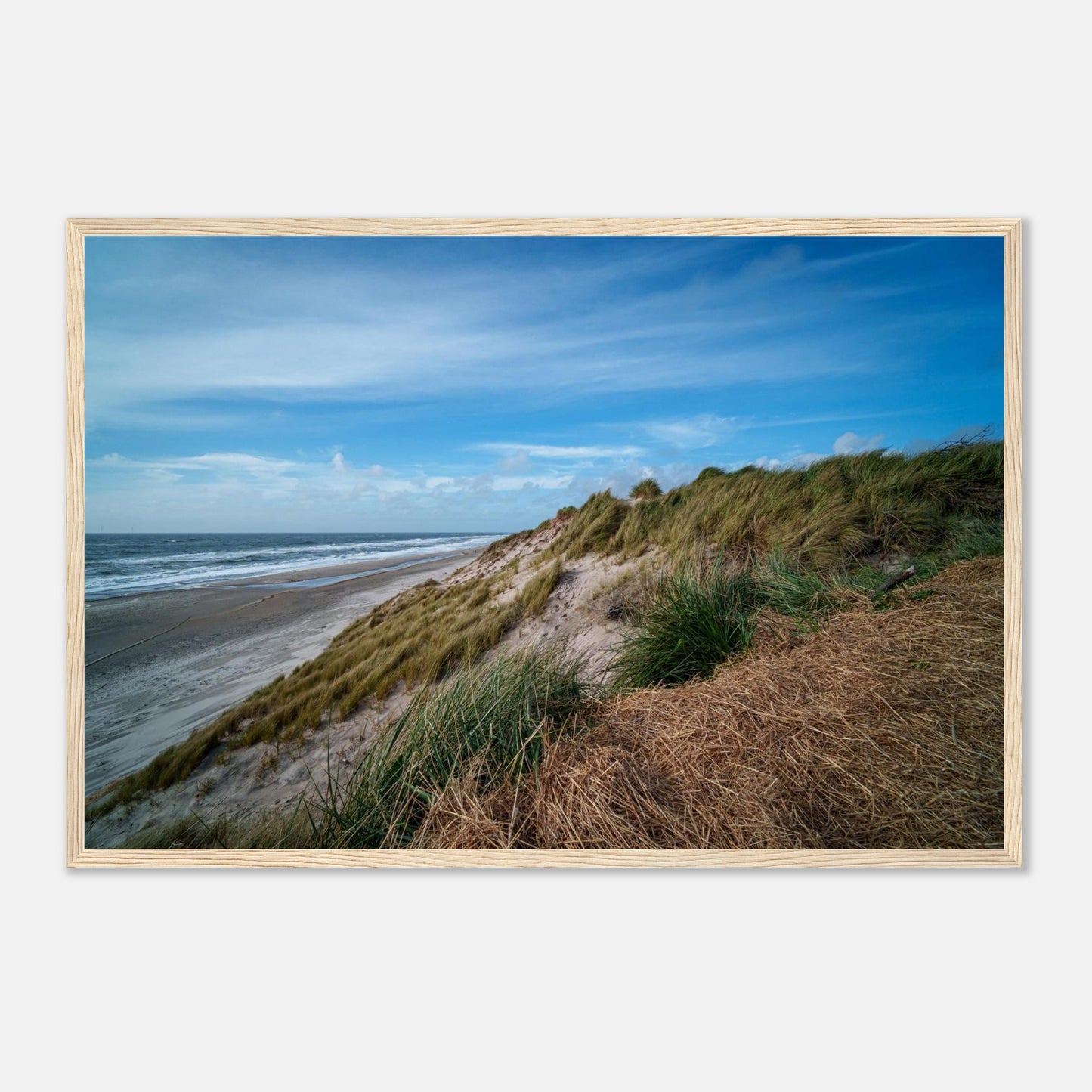 1e4e4b82-d739-4b3c-93a5-4237491cd34f