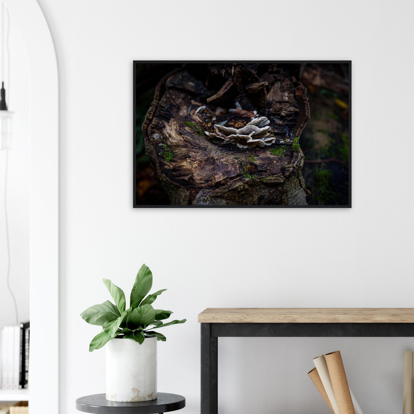 262708a5-0bdc-404d-bfef-aba031695421