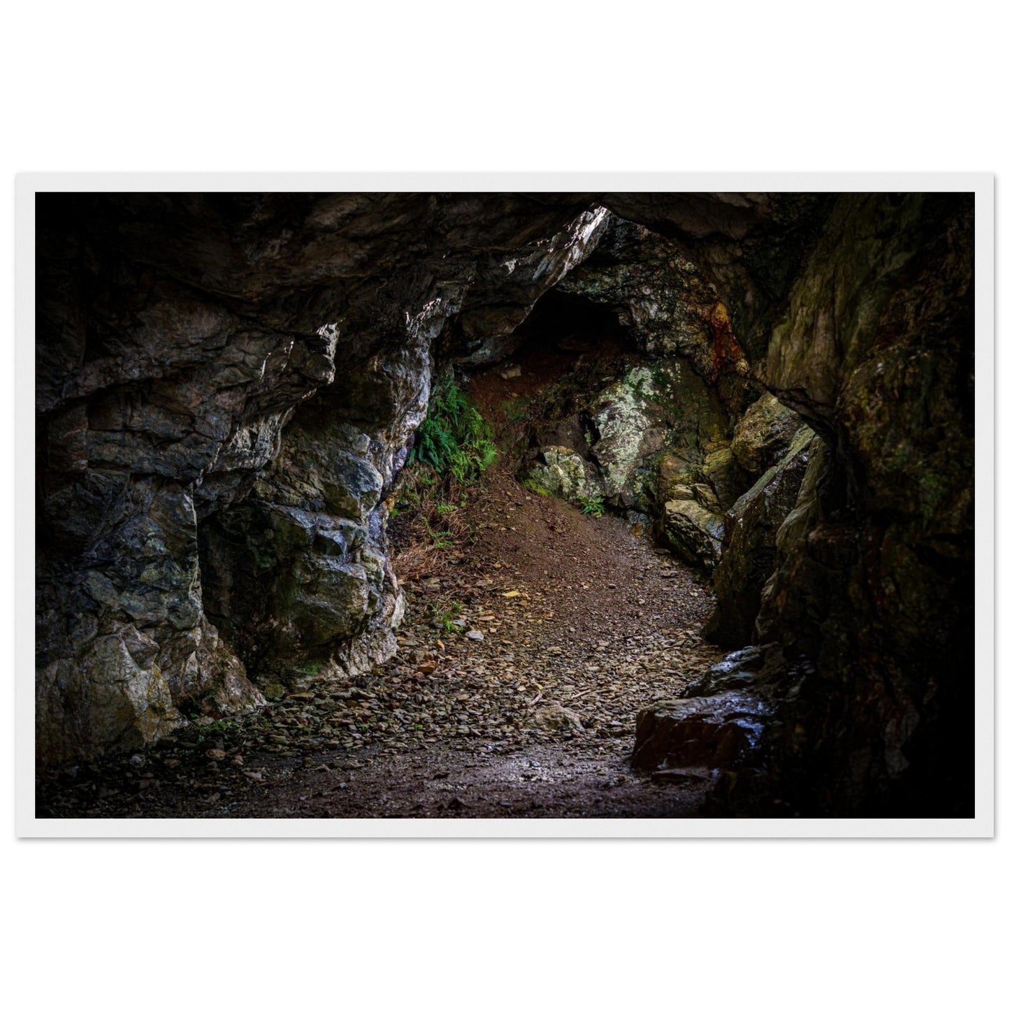 2b3ba949-9360-4b08-a8b7-9f23f50b6455