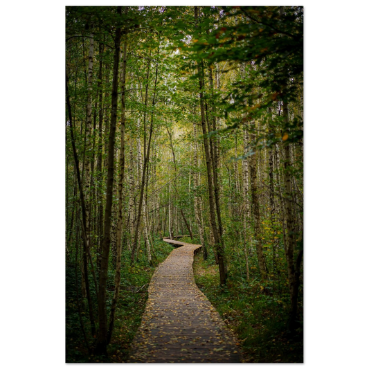 33a28ebd-c4e1-4b8b-9e3b-c3d4ecebe993