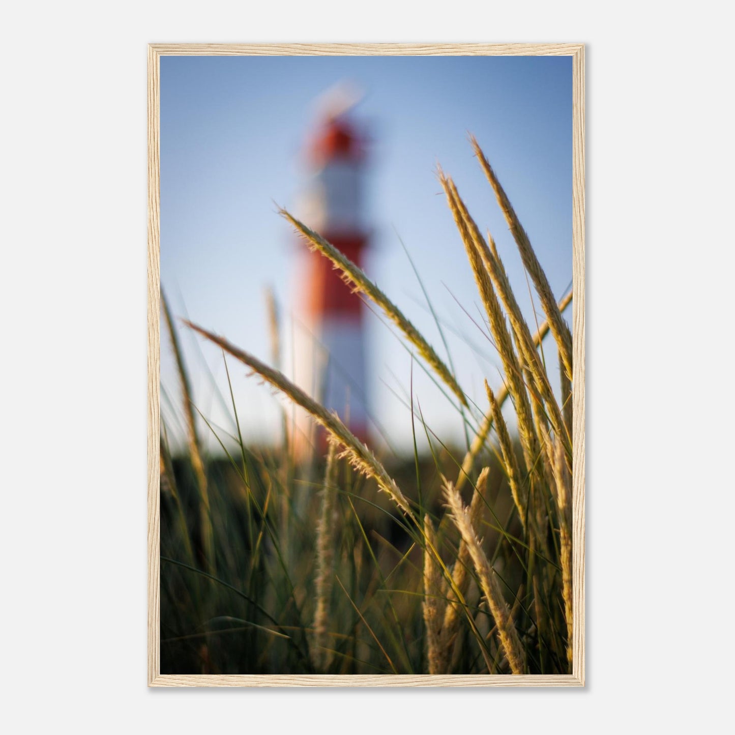 3401ce56-2254-470c-95f2-e607a11c120c