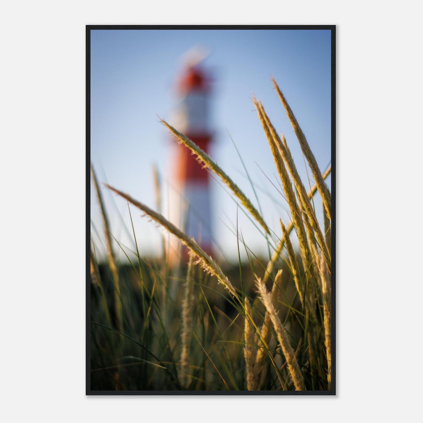 38901d93-7093-46f8-a422-e7072415ee7e