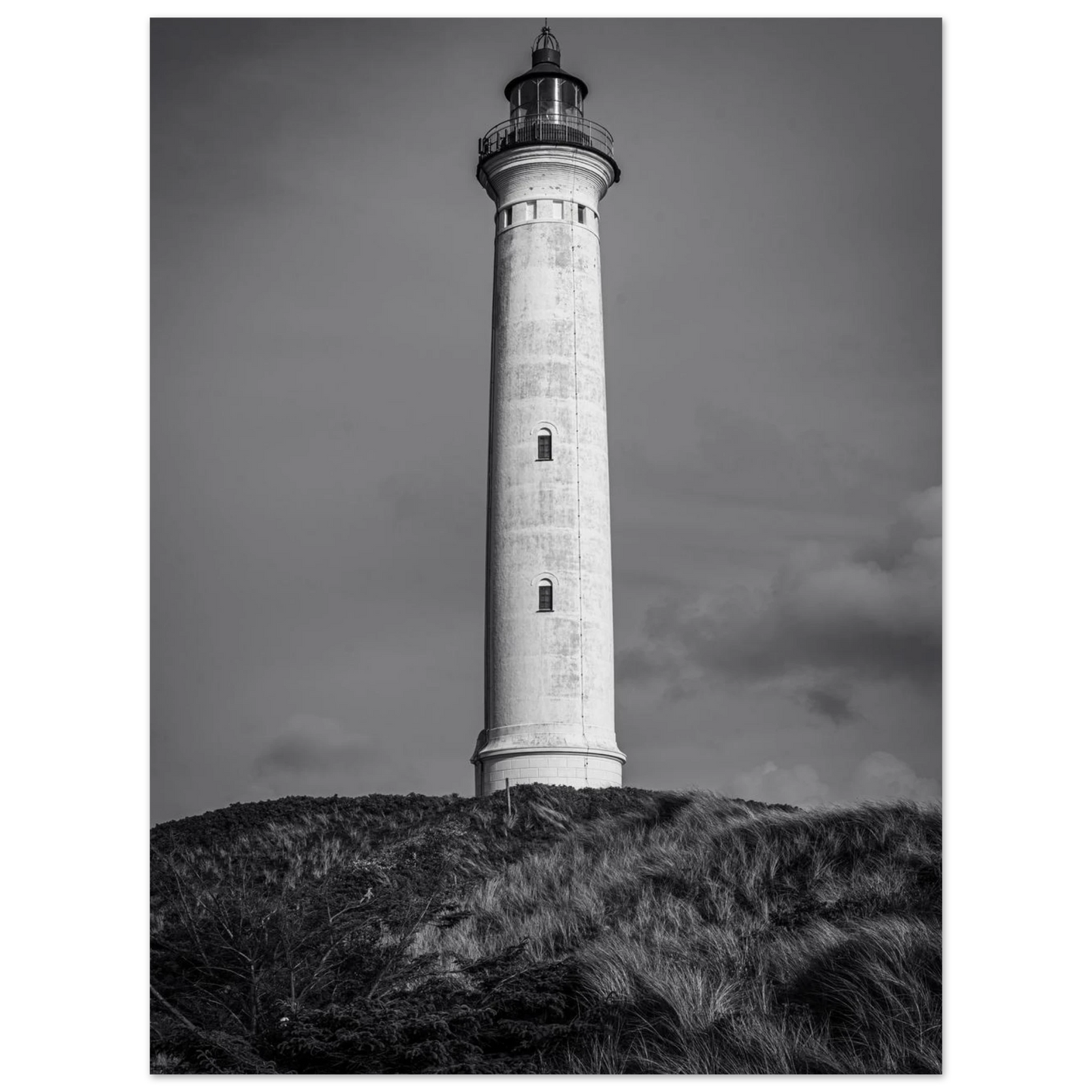 3ca0e5bb-a003-4688-892f-83044f58e7d6