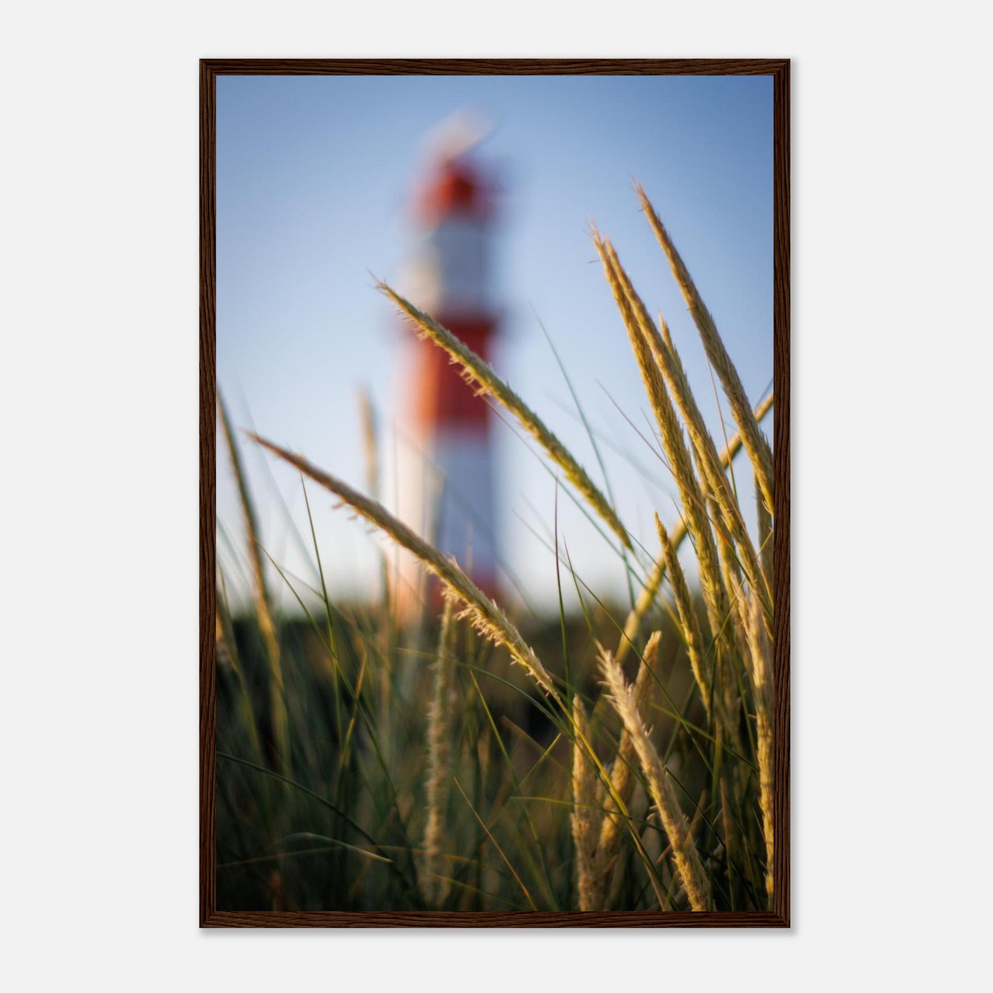 40aafd31-3535-4407-b08f-0eb8a87274ad