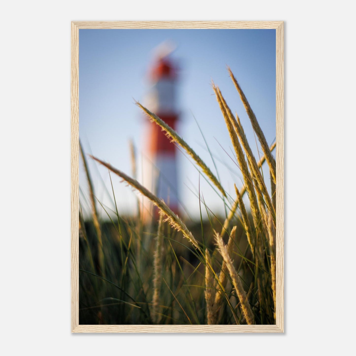 41b07567-7cd1-47f9-9afa-7f51a72db9b4