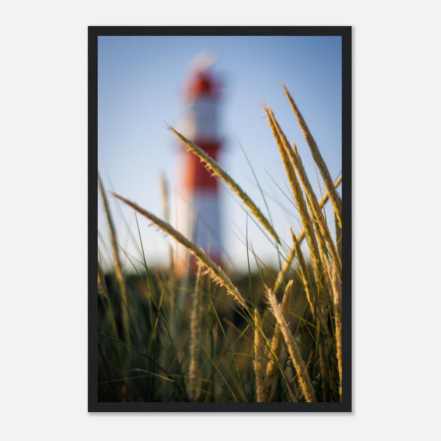 4351829d-0fec-403b-a6ab-7983d784ff2d