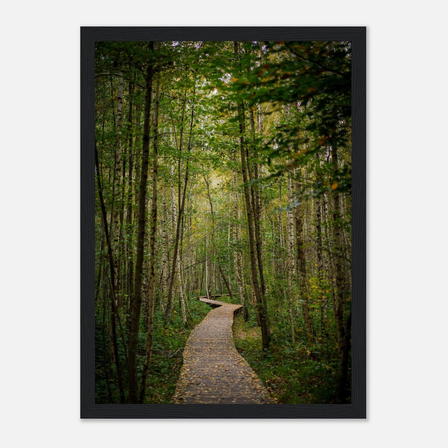 49755bda-15f5-4001-a9cd-b71d42cb50c9