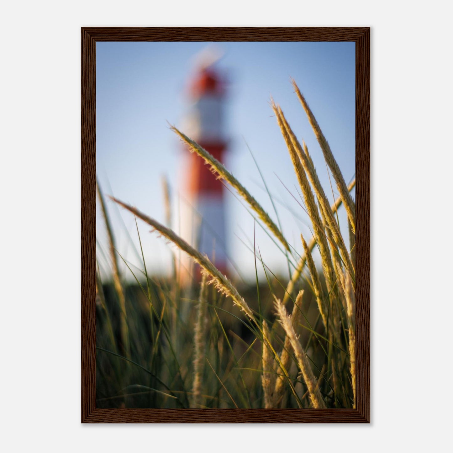 4c237855-3d36-4097-914f-06acc696e3a8