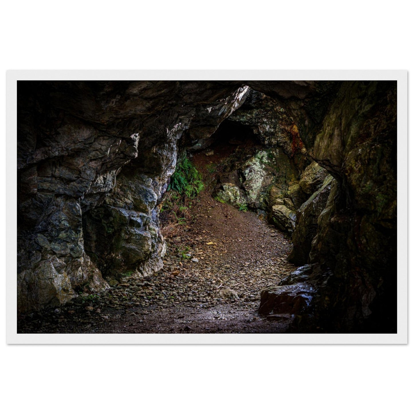 4cae91fa-f0a7-43fc-aa22-6f4fc1ac277c