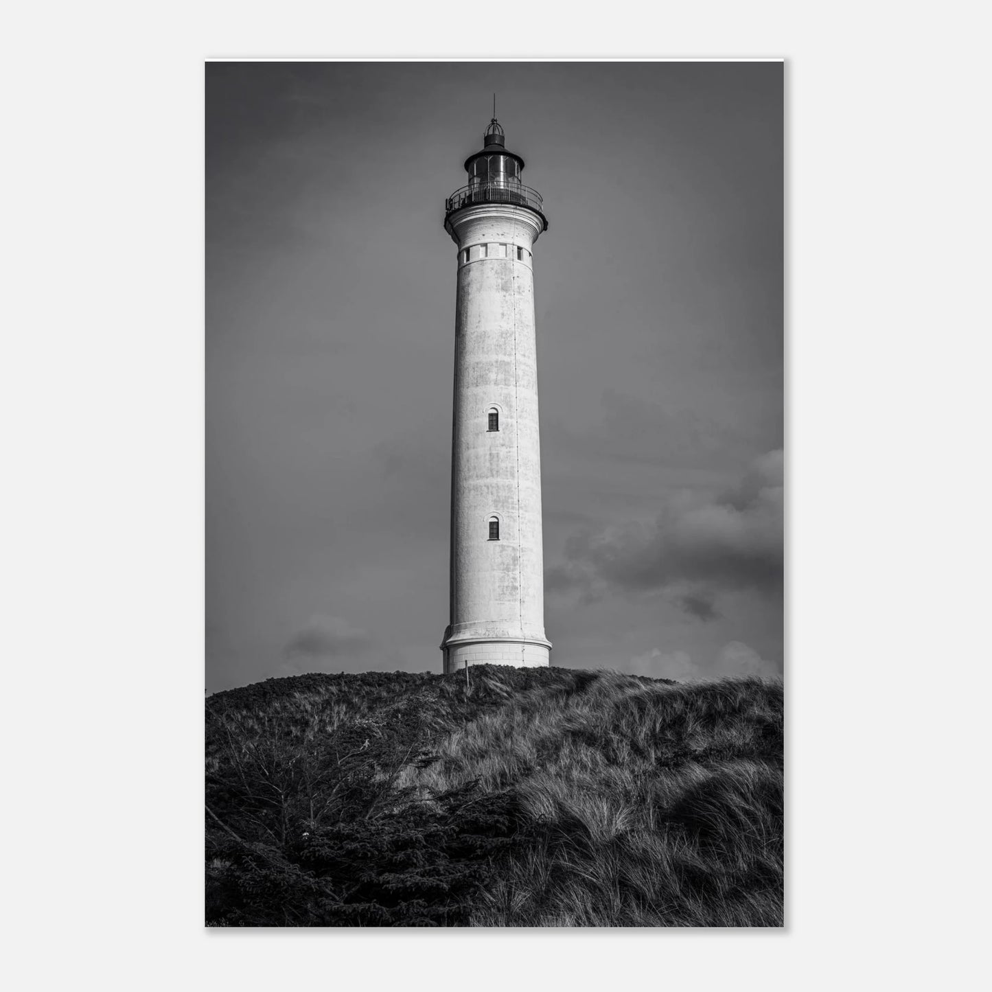 4d981ef9-dc8b-4dca-ad19-a3f68cfc5c64