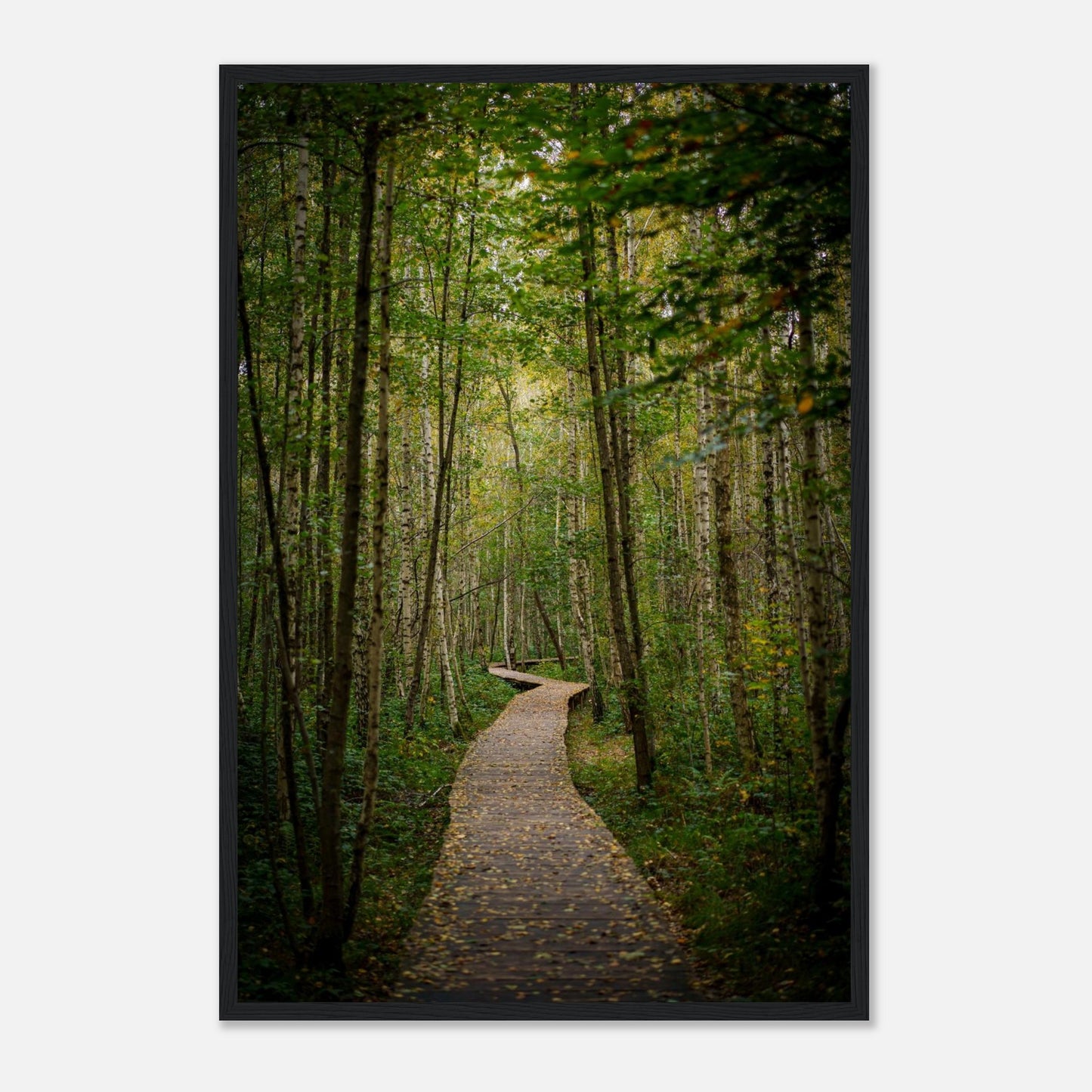 4dbc8a80-e4b3-4965-80ec-290973077c70