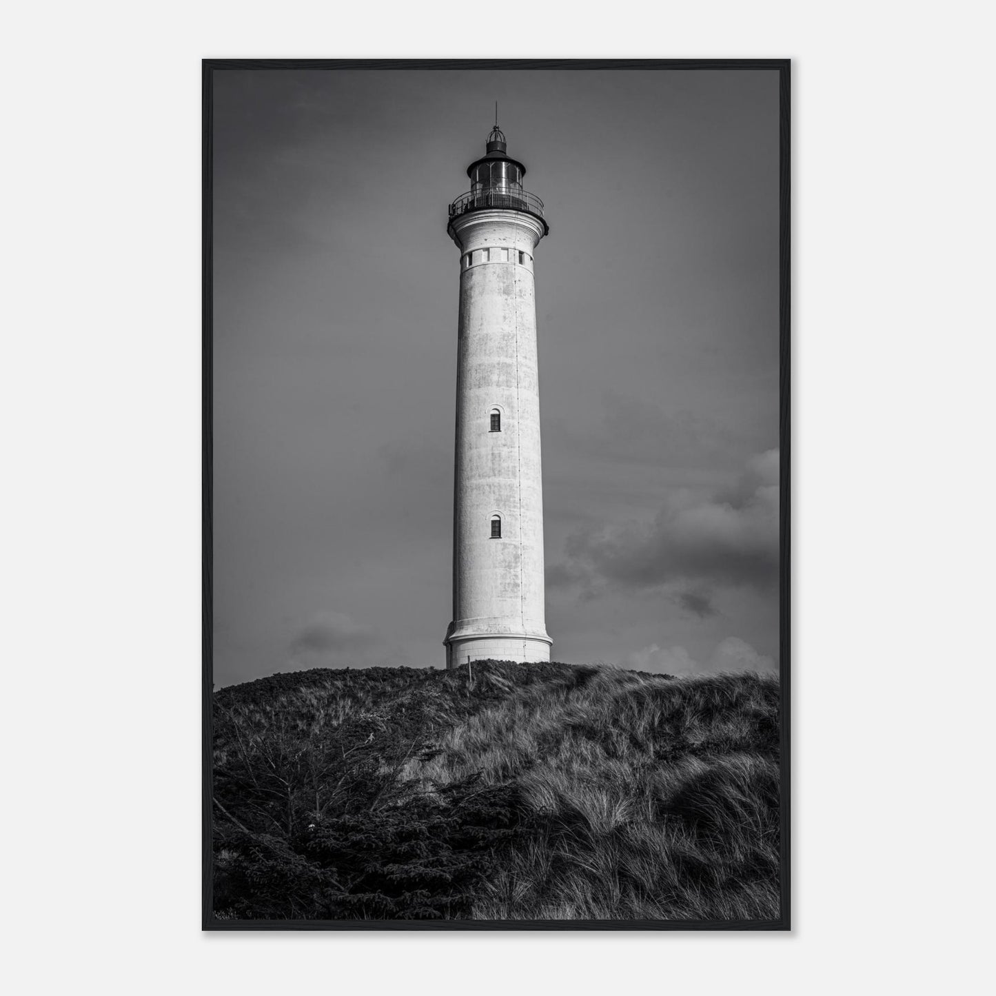 507a6efa-86a4-4c91-929b-5bd8aaebaf9a