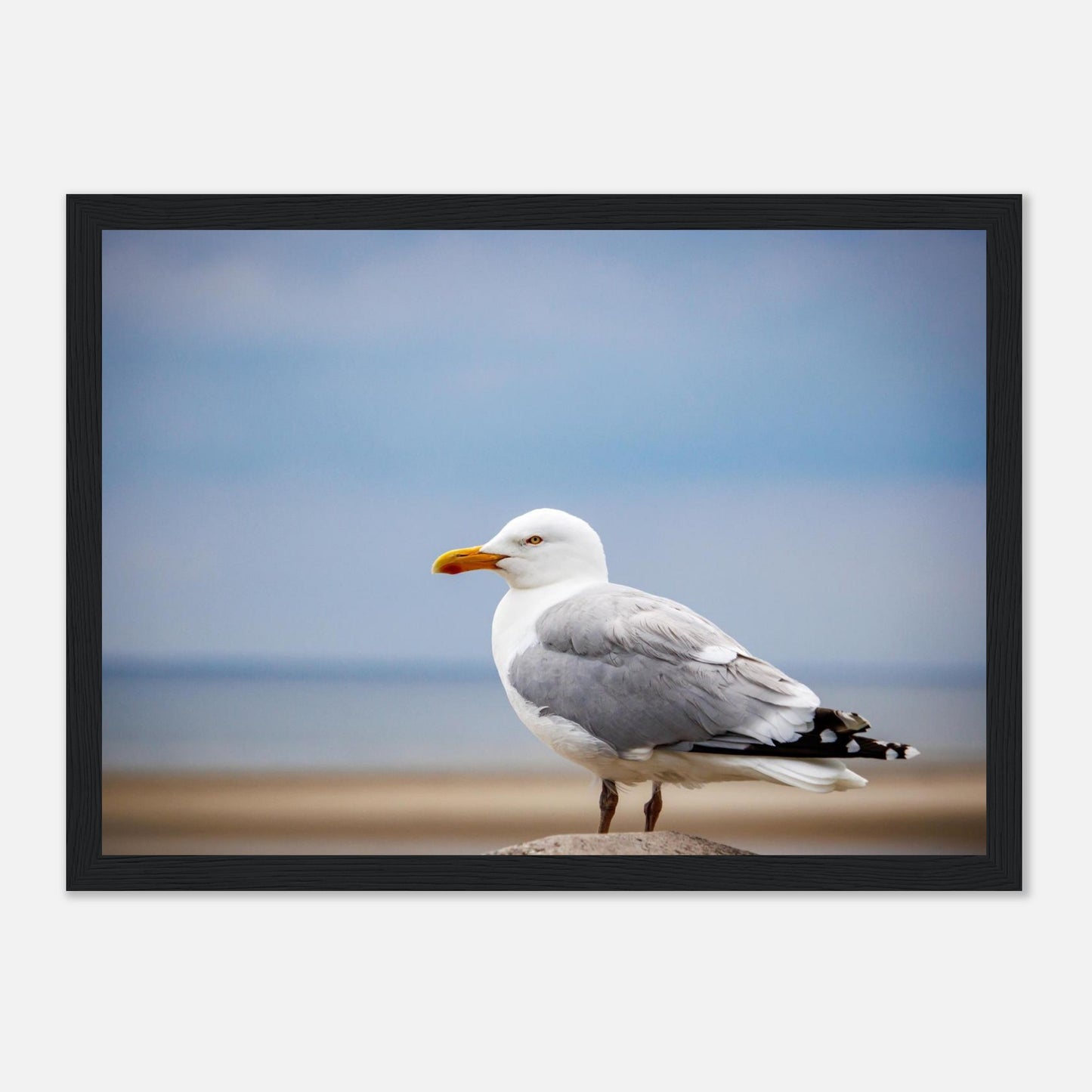 51638993-171e-471f-bee5-70978f083dd4