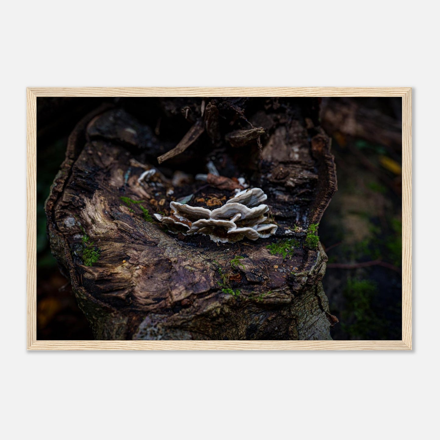 54f04612-8666-4574-84e6-242d57e4fe87