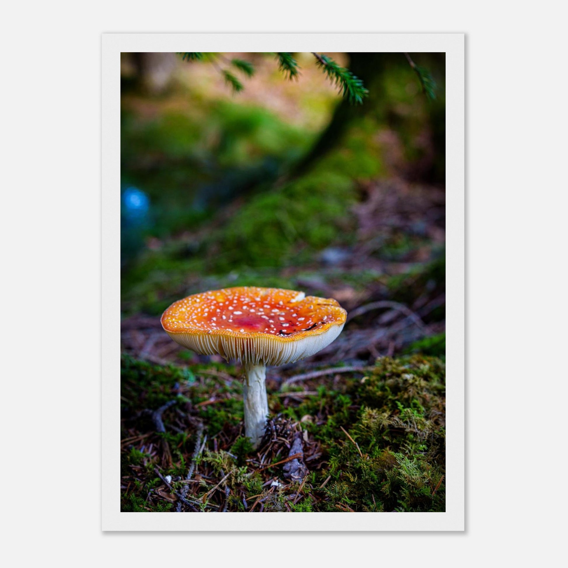 54f9be46-8508-4e6d-9ee0-5e2484ee4eae