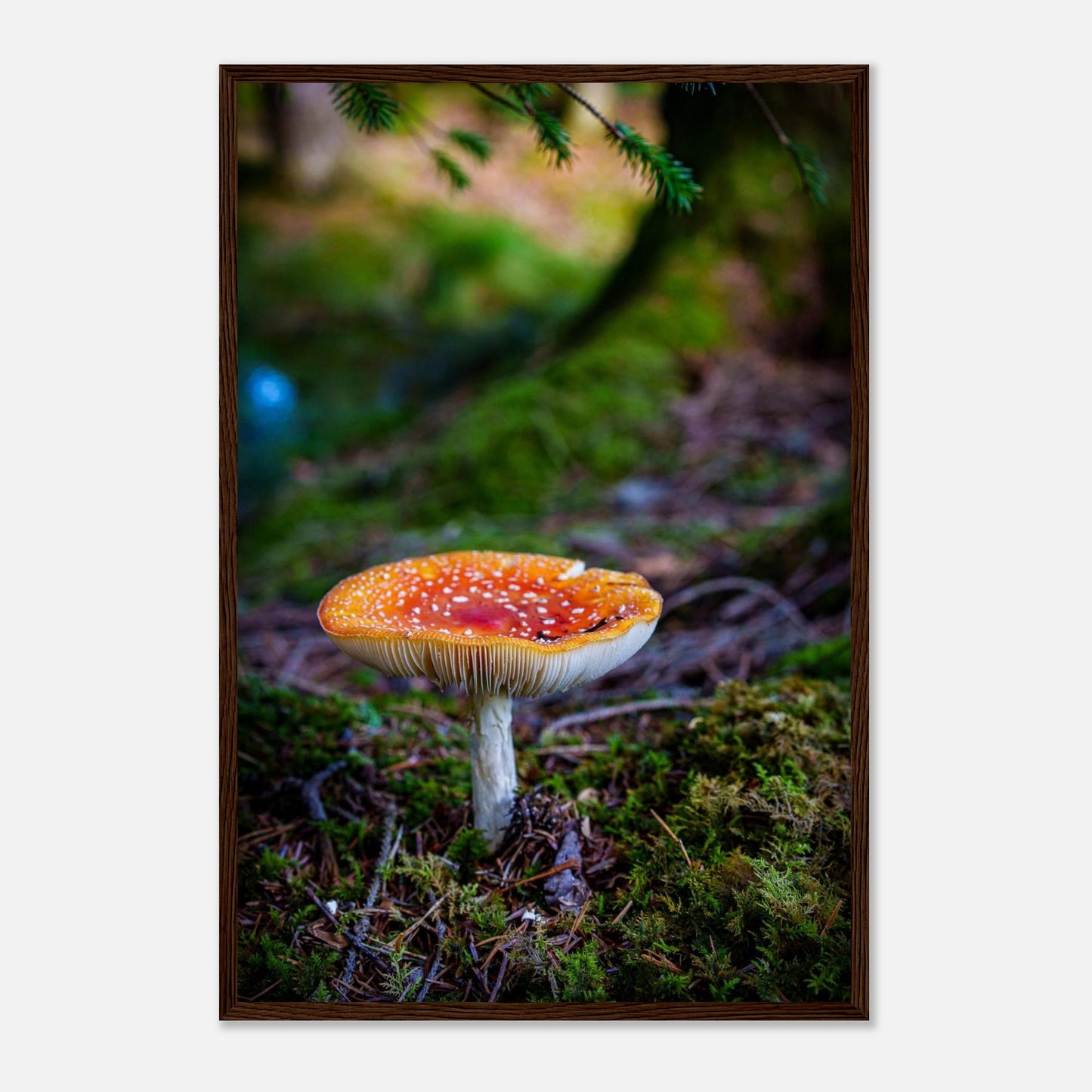 56bc5908-cc81-48af-8d86-b9bbacb6ab51