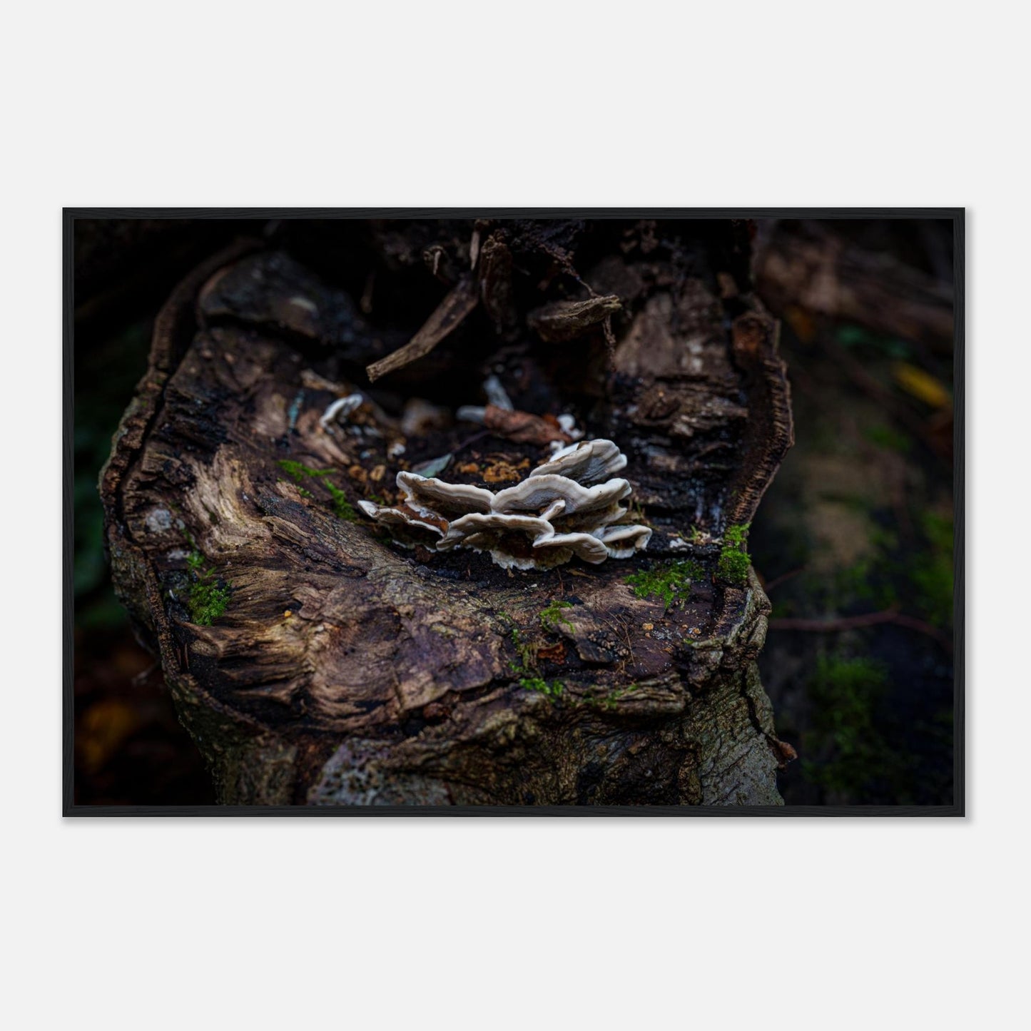 59af4fef-ddd5-4600-b422-616e61c1b08b