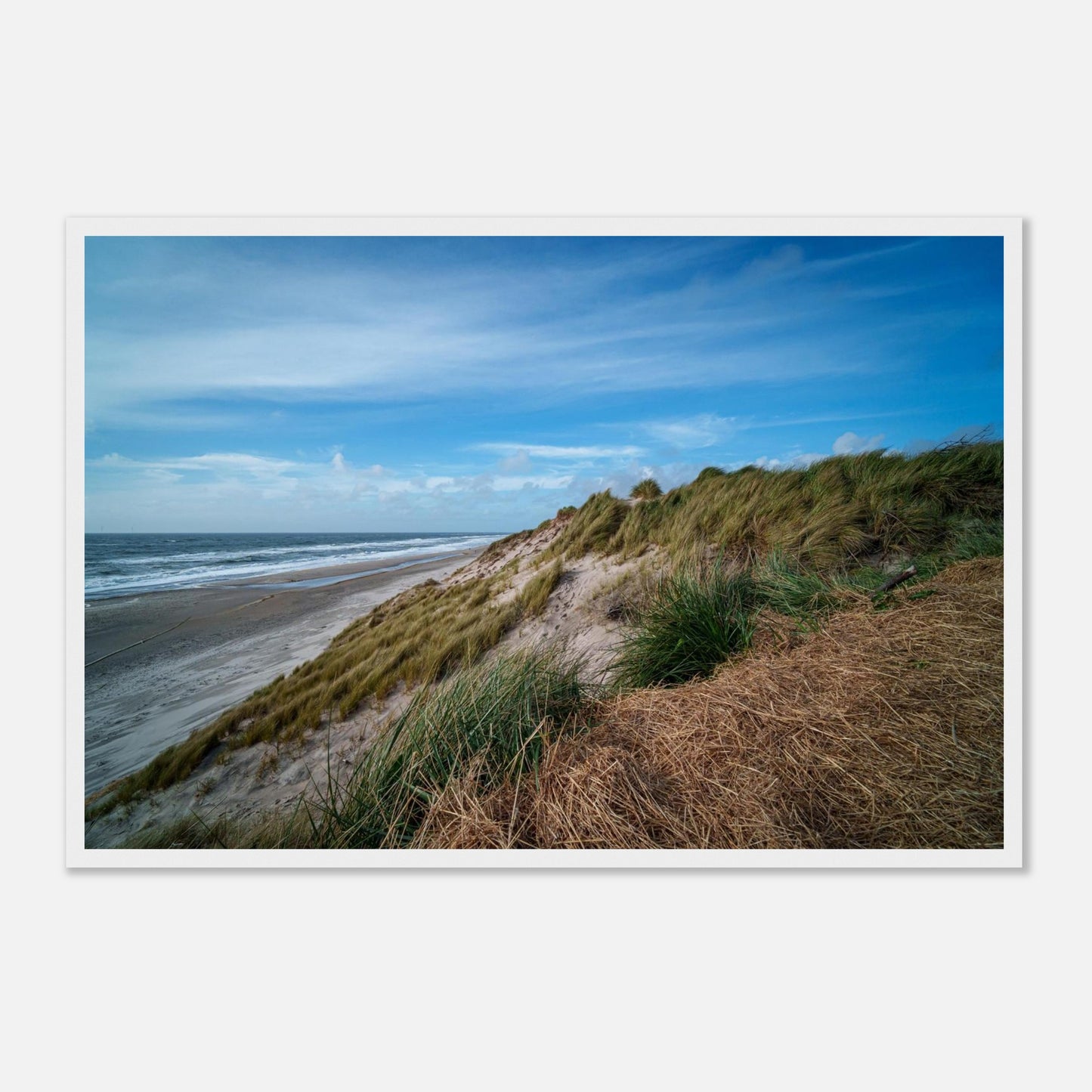 5a57b44b-98ae-4220-bfce-a6eae64ada5b