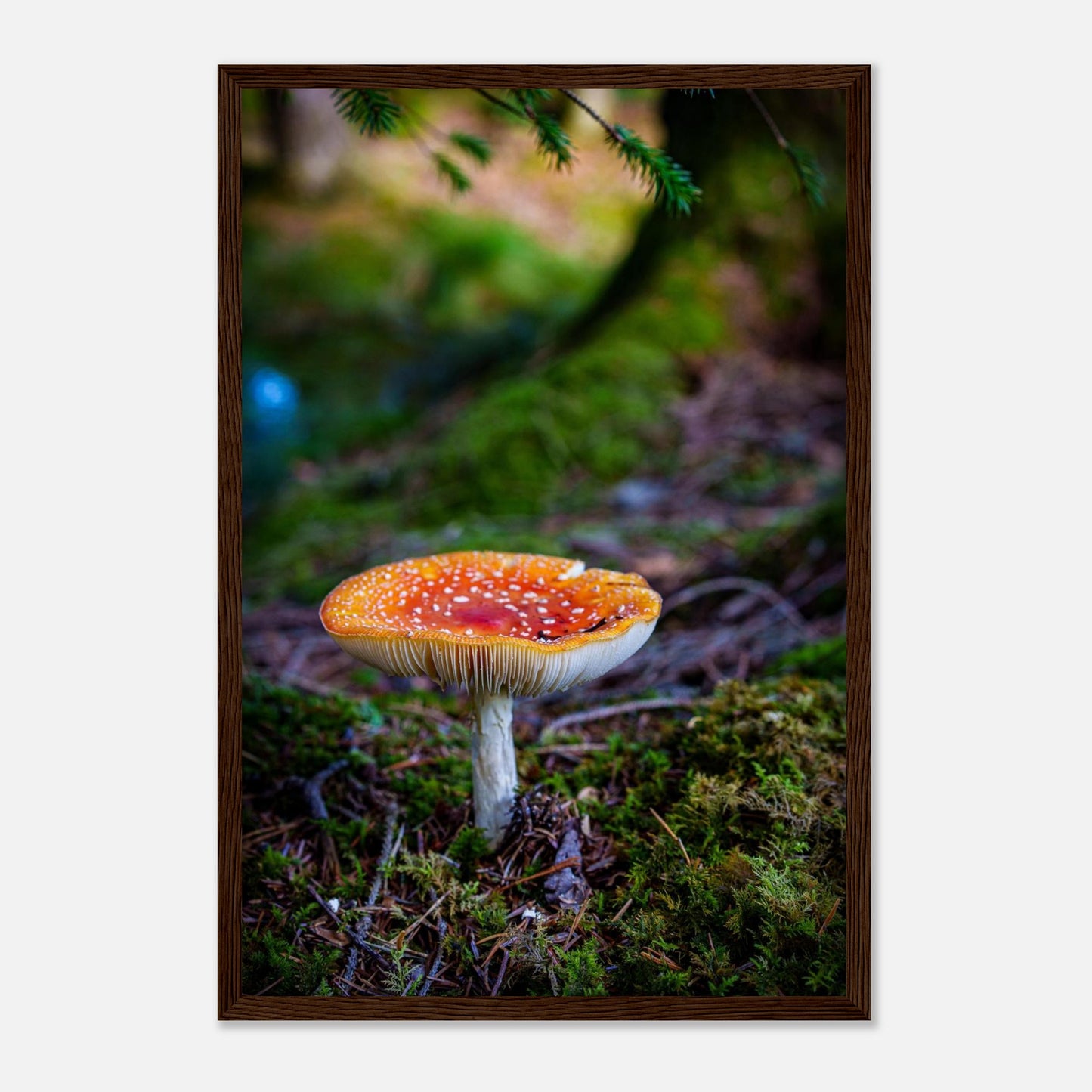 5a7bc2b4-b280-4416-9c80-e82410b72987