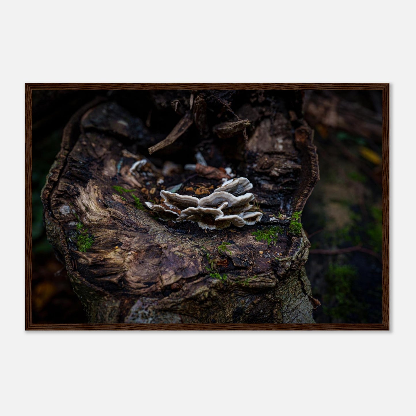 5c38c2ff-728a-4b3b-a3d8-1e2759e7d81a