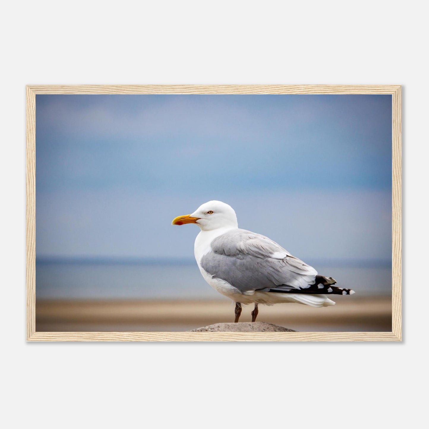 5cc3af6b-7510-4ad1-bccb-a47acc524745