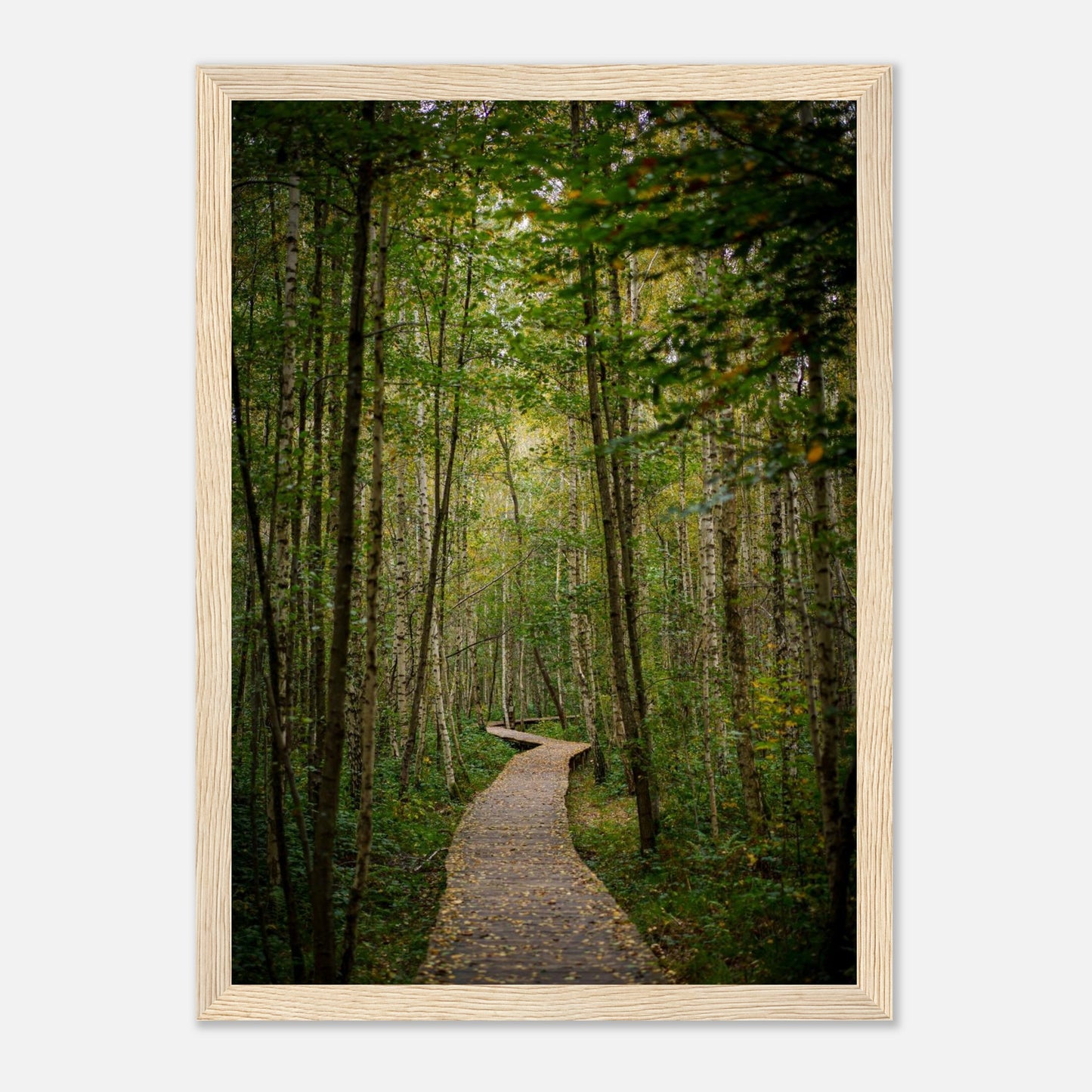 67fab1b6-5b67-4a4a-a9e3-27072c48189b