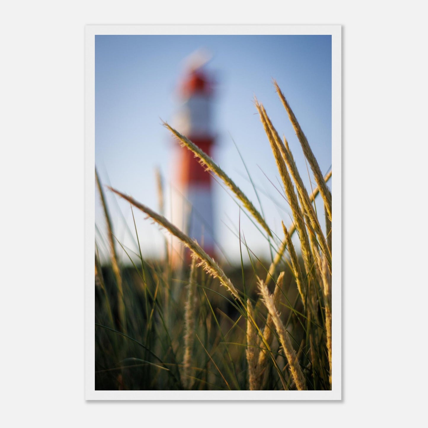 695e051a-90de-449e-abdb-b8328231e5c1