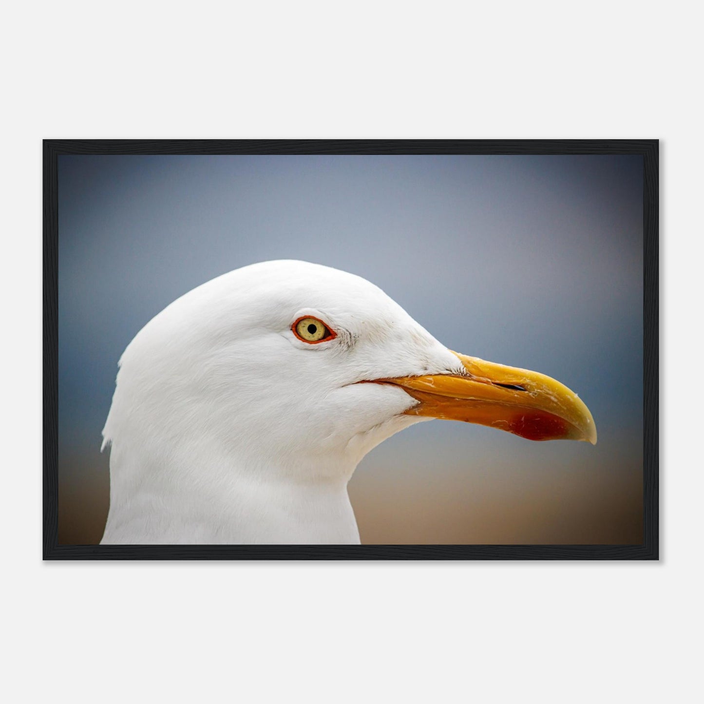 7419395b-baa2-4e45-81a9-db7c1f37c609