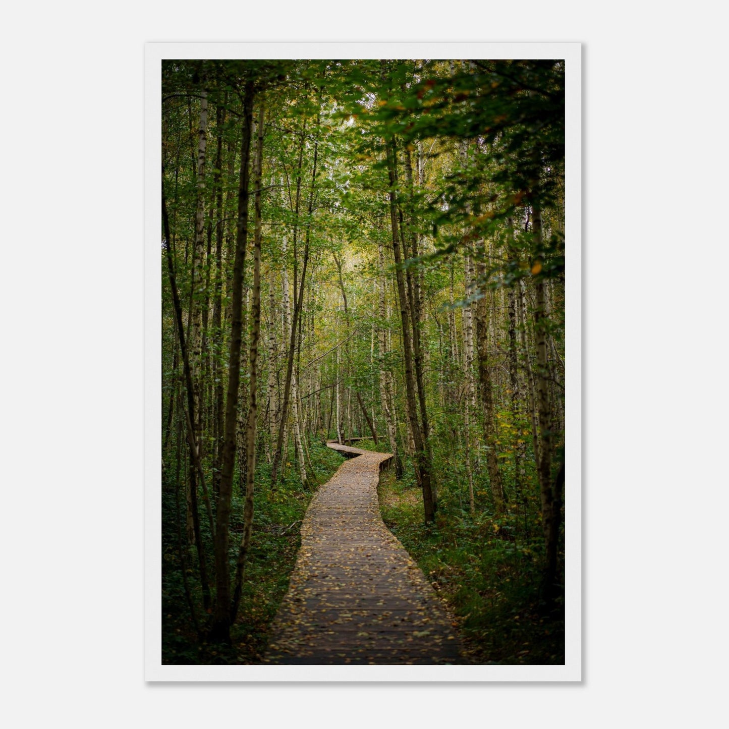 748fc79d-e2ae-412c-86dd-f8645206d54c