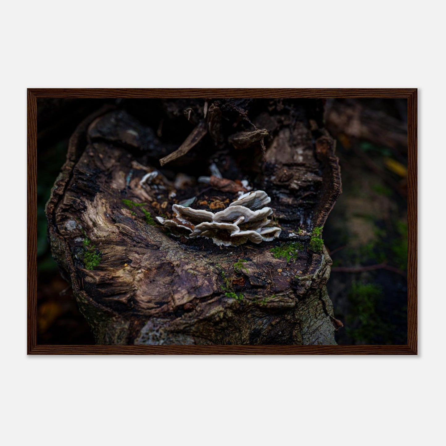 77352718-6aa3-4592-922a-62b3bb45ae00