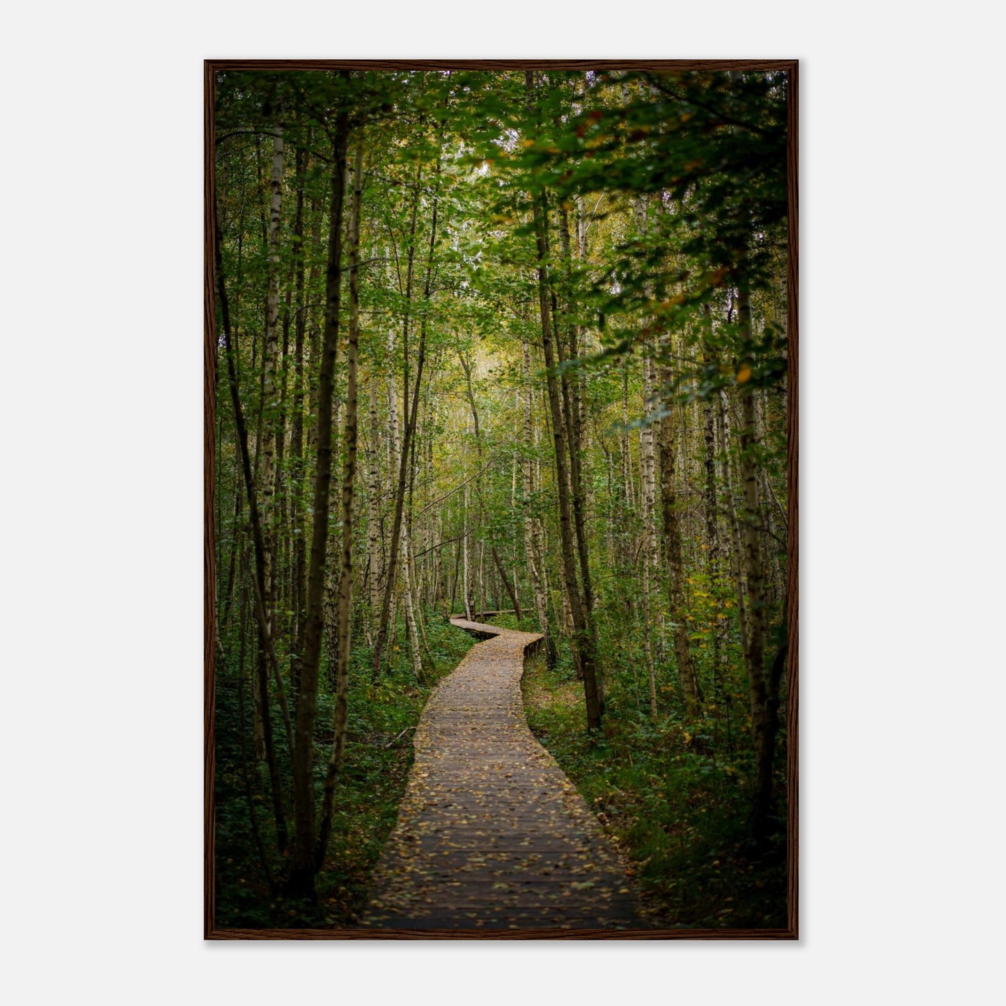 79e145f1-3105-4bde-9bdd-a7feb9f3fdfc