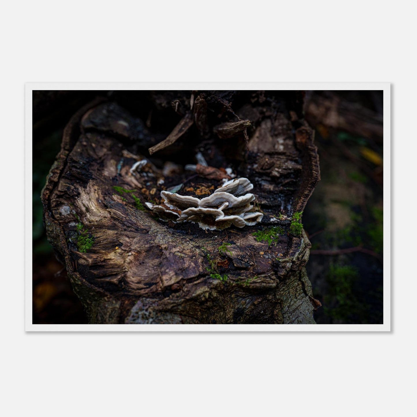 7ab1ecc6-9b2b-4eae-af07-edc110d5a5c5