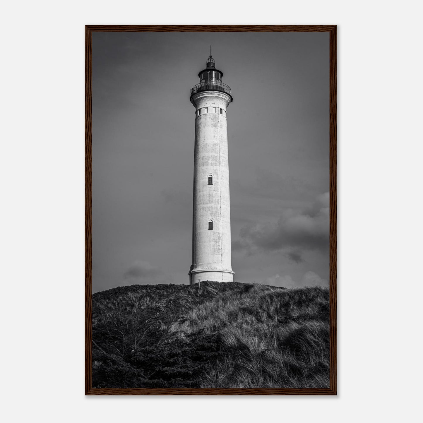 7b6872ff-7204-45de-8fe7-a52eb10f949a