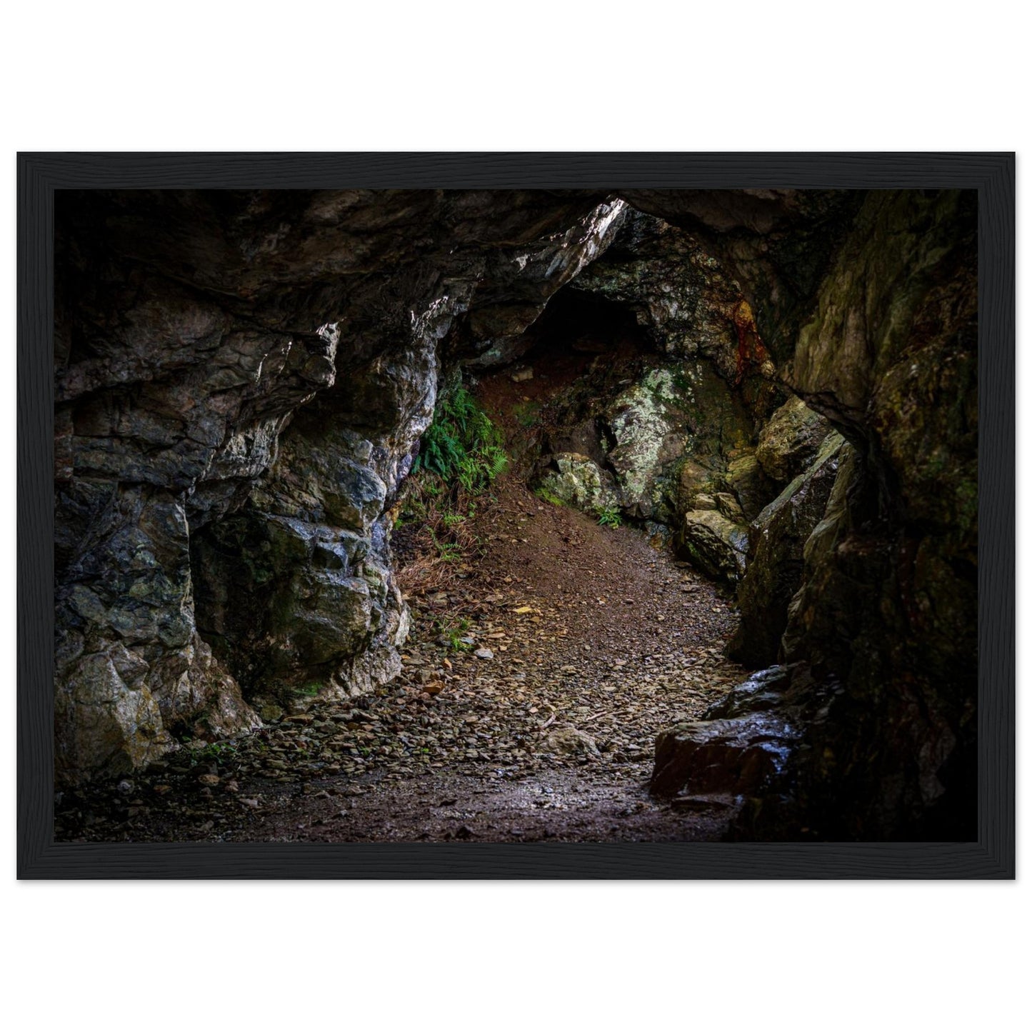 7d1a4df9-5dae-4076-ad07-bbfc76c1fa2d