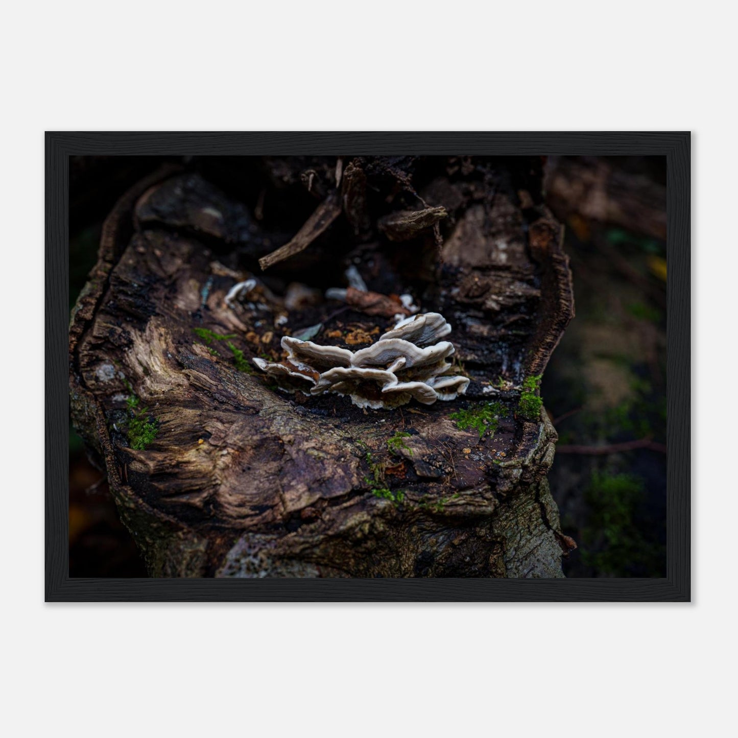 7e38018a-ab33-4d18-b86f-897ef05affdb