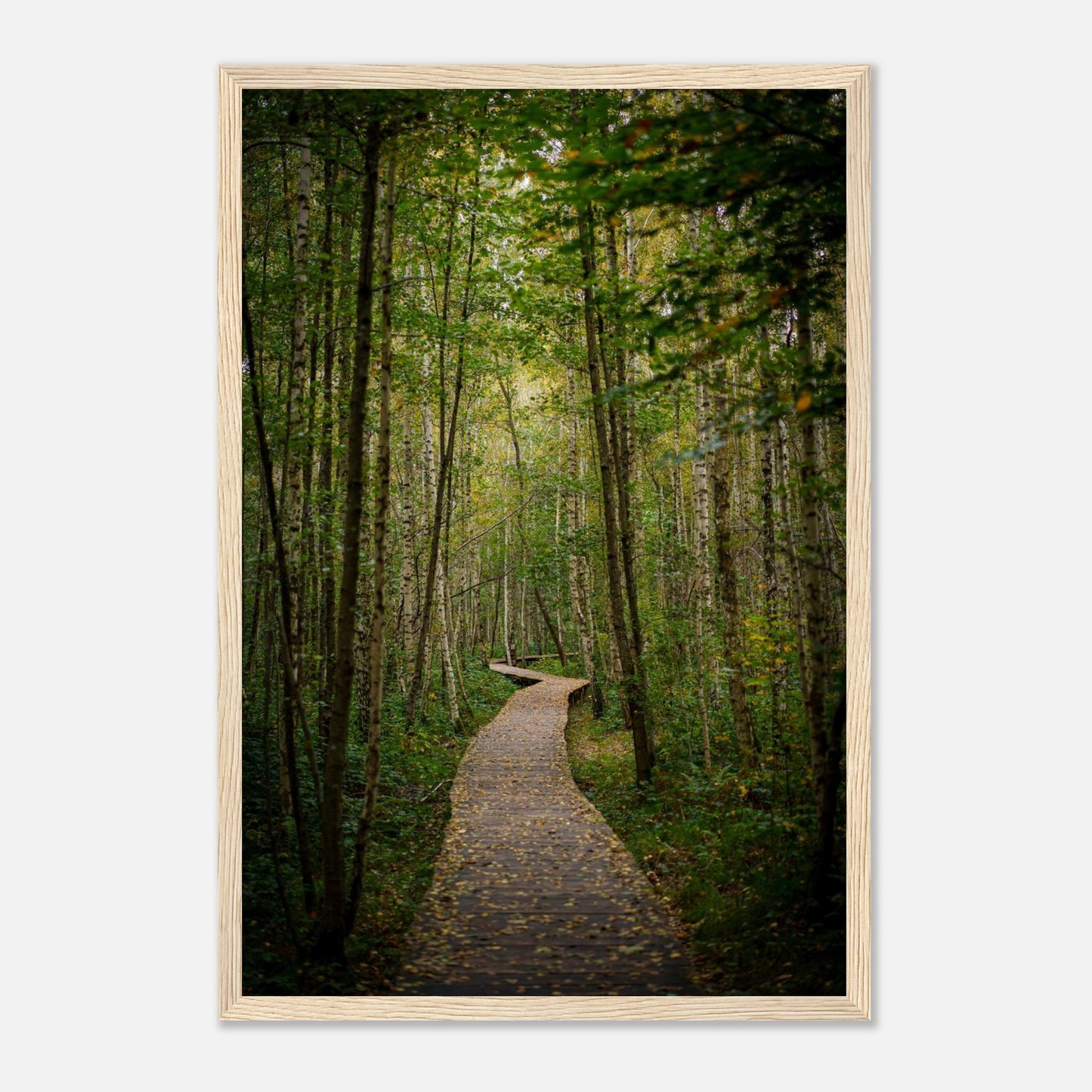 7f0e5742-75d9-4bee-a0df-6836abb16ada