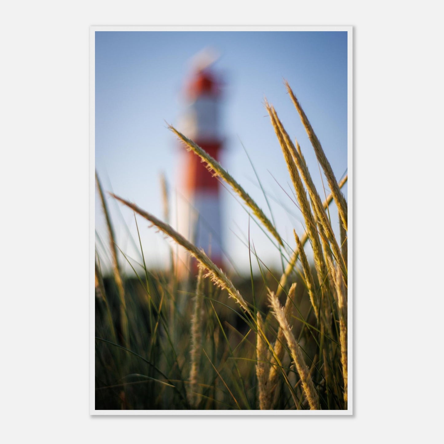 7f385228-10e8-428a-87f9-08999866ff7e