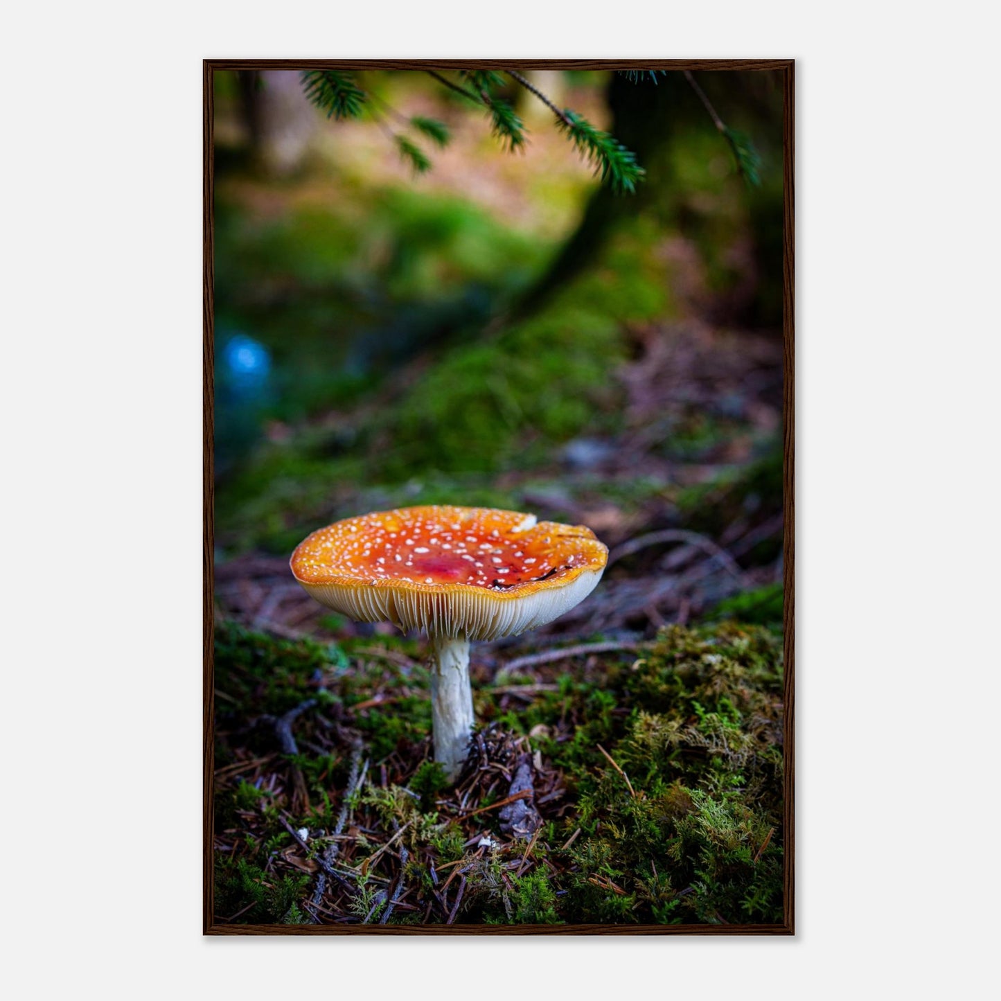 81957528-298a-41d0-89c2-0edc6c6e4c46