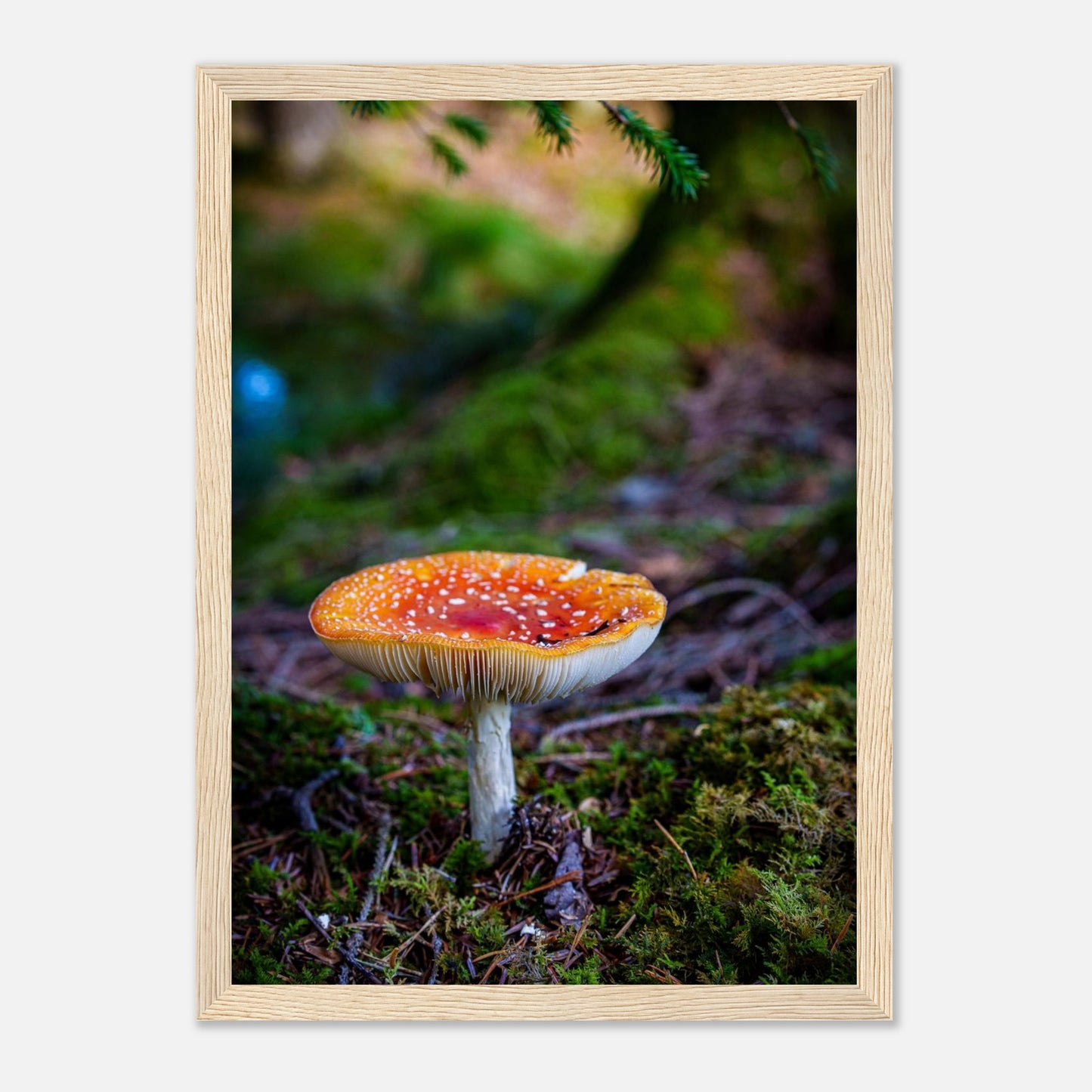 82800aa5-8962-442a-8a82-c7a1afab1088